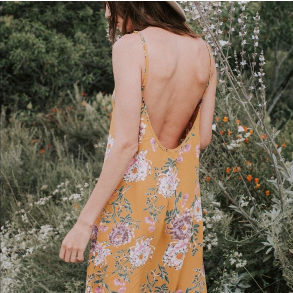 NWT Flynn Skye Jeanette Slip Dress - Picture 2 of 9